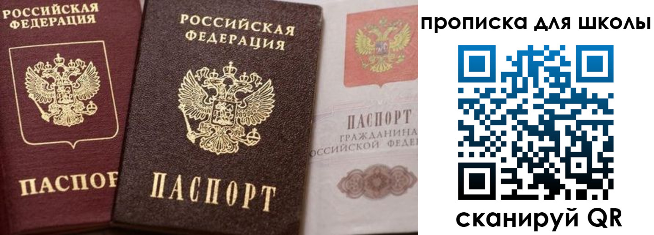 прописка законно в Зее